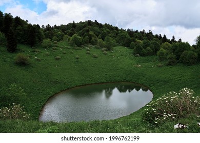 Gran lago limpio y transparente en el Parque Nacional del Cáucaso de Rusia contra el fondo del bosque en tiempo nublado. Lago de montaña ovalado entre prados alpinos.