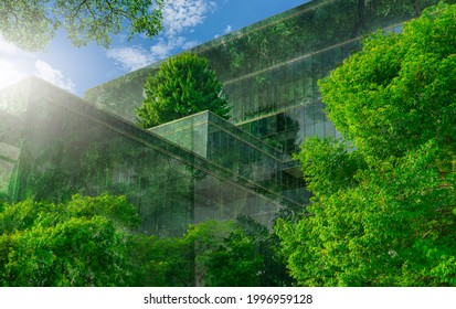 Selektiver Fokus auf Baum und umweltfreundliches Gebäude mit vertikalem Garten in der modernen Stadt. Grüner Baumwald auf nachhaltigem Glasgebäude. Bürogebäude mit grüner Umgebung. Gehen Sie grünes Konzept.