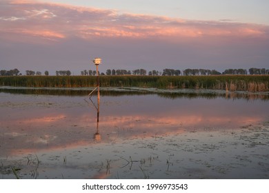 Vogelhaus auf einem langen Pfosten zur Sonnenuntergangsstunde in den Sümpfen und Feuchtgebieten des Big Creek National Wildlife Area in der Nähe des Long Point Provincial Park, Lake Erie Shore.