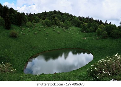 Clean and transparent large lake in Caucasian National Park of Russia against background of forest in cloudy weather. Oval mountain lake among alpine meadows.