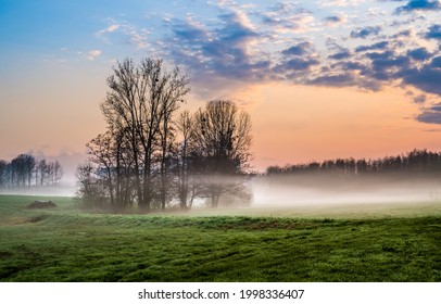 Niebla de la madrugada en el campo