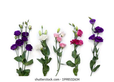 白地に紫、白、ピンクの花トルコギキョウ (テキサス ブルーベル、ブルーベル、トルコギキョウ、プレーリー リンドウ)。トップビュー、フラットレイ