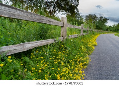 Von Blumen gesäumter Wanderweg im Plum Grove Reservoir Park, Palatine, IL