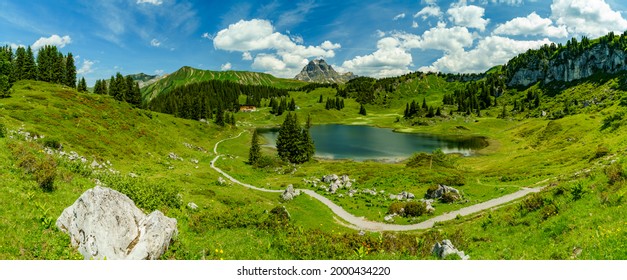 ケルバー湖とブレゲンツァーヴァルトから山へのパノラマ、花の咲く牧草地と険しい山々、草、花、森、雲のある晴れた夏の日、オーストリアのアルプスに囲まれています