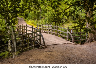 Pooh Sticks ブリッジは、Hartfield 近くの Ashdown Forest にある 100 エーカーの森にある Pooh Sticks でした。
