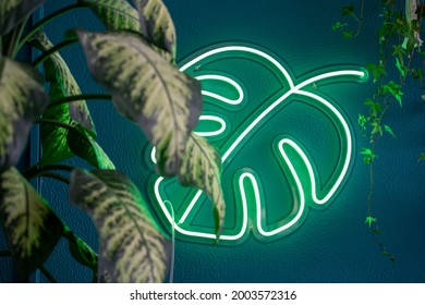 Neon light tropical green monstera leaf on a wall from bio store restaurant and coffee shop. Trendy style. Neon sign. Custom neon decoration.
