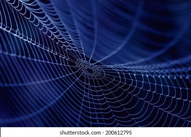 Spinnenweb van dichtbij in het donker