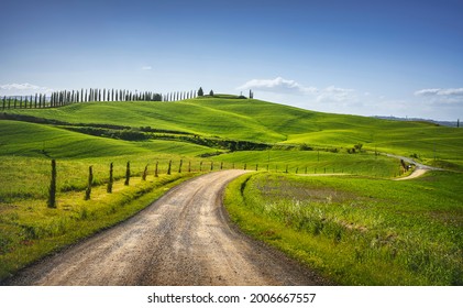 Monteroni d'Arbia, ruta de la via francigena. Camino curvo, Campo y árboles. Siena en el fondo, Toscana. Italia, Europa.