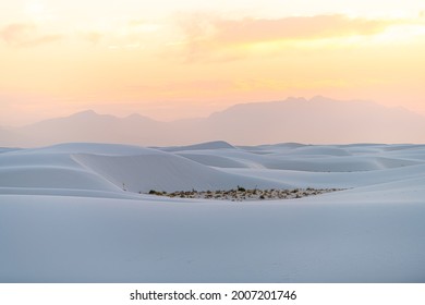 Hügel aus Gipssanddünen und Pflanzen im White Sands National Monument Park in New Mexico mit der Silhouette der Organ Mountains am Horizont bei farbenfrohem, gelbem Sonnenuntergang