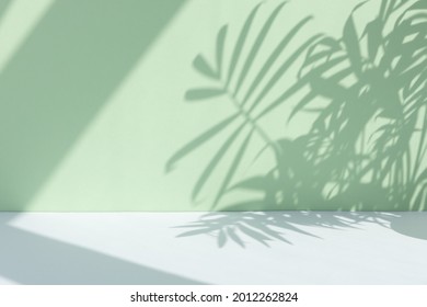 Minimaler abstrakter Hintergrund für die Präsentation eines kosmetischen Produkts. Erstklassiges Podium mit einem Schatten aus tropischen Palmblättern an einer pastellgrünen Wand und einem grauen Tisch. Vitrine, Vitrine.