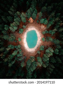 A small oval lake in a turquoise forest, surrounded by conifers, view from a height, Voronezh region