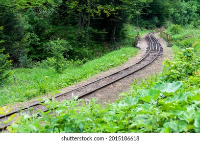 Ferrocarril de vía estrecha en Majdan, ferrocarril de vía estrecha, montañas Bieszczady, Cisna