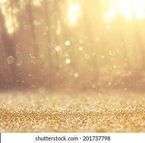 Abstraktes Foto von Lichtblitzen zwischen Bäumen und glitzernden Bokeh-Lichtern. Das Bild ist unscharf und gefiltert.
