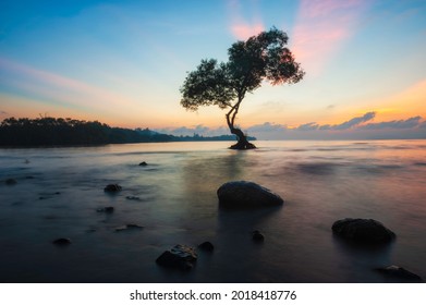 Cây cô đơn lúc bình minh giữa biển, Lang Suan là một huyện của tỉnh Chumphon. Nam Thái Lan