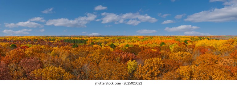 Vista aérea desde el parque estatal de St. Croix, la torre de vigilancia contra incendios de Minnesota, naranja otoñal, hojas de árboles rojos y amarillos y panorama de cielo azul y nubes blancas