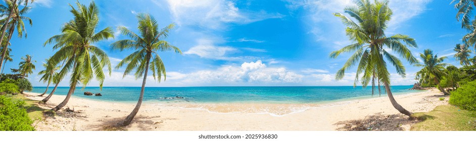 panorama of tropical beach with coconut palm trees