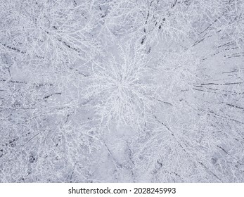 Vinter natur skovlandskab. Luftfoto ovenfra og ned af blandede snedækkede træer. Vinter baggrund.
