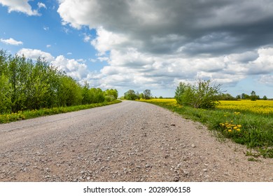 Camino de ripio gris escénico en el campo durante el día de primavera nublado intermitente. Foto en ángulo bajo de una calle pedregosa que se curva entre arbustos verdes, campos de colza amarilla y flores de diente de león florecientes.