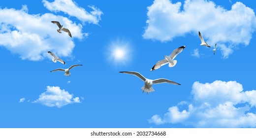 Clear sunny sky, white clouds and flying seagull birds