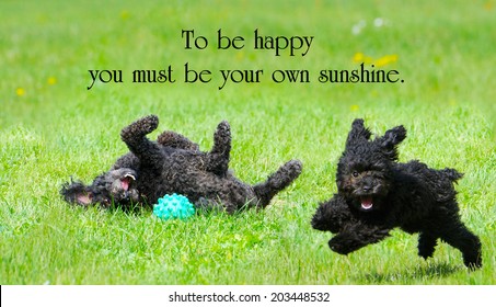 Cita inspiradora sobre la felicidad de CE Jerningham con dos adorables caniches disfrutando de la vida al máximo.