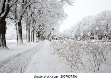 Dataran Abraham di musim dingin di Quebec City