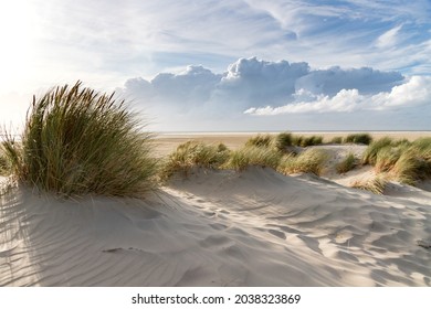 北海沿岸の砂丘