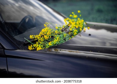 San Petersburgo, Rusia, 06.07.2021. Flores amarillas en el cristal de un coche Subaru.