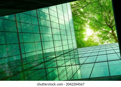 Umweltfreundliches Bauen in der modernen Stadt. Grüne Äste mit Blättern und nachhaltiges Glasgebäude zur Reduzierung von Wärme und Kohlendioxid. Bürogebäude mit grüner Umgebung. Gehen Sie grünes Konzept.
