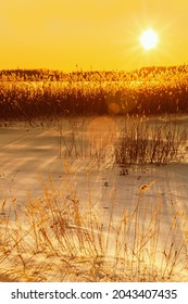 Paisaje de puesta de sol de invierno con campo cubierto de nieve y resplandor brillante del sol, hierba cubierta de escarcha, nieve blanca brilla al sol. Hermosa vista de la naturaleza de invierno.