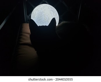Solar Globe Bild eines Vollmonds mit schwarzer Katzensilhouette