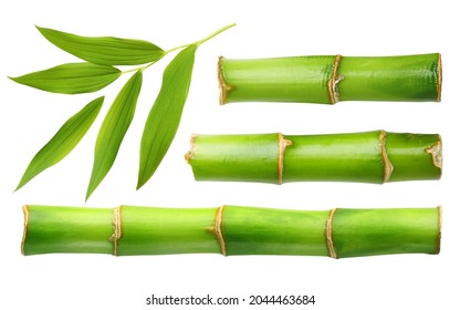Zweige des Bambussatzes lokalisiert auf weißem Hintergrund
