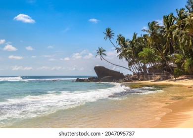 Batu dan pohon palem di Pantai Dalawella di hari yang cerah di Sri Lanka