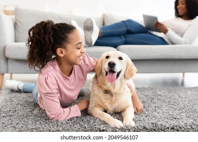 Cinta dan Hewan Peliharaan. Gadis remaja kulit hitam yang positif dan bahagia berbaring di lantai karpet dan memeluk hewan peliharaannya, beristirahat dengan labrador di ruang tamu di rumah, wanita menggunakan tablet di sofa di latar belakang