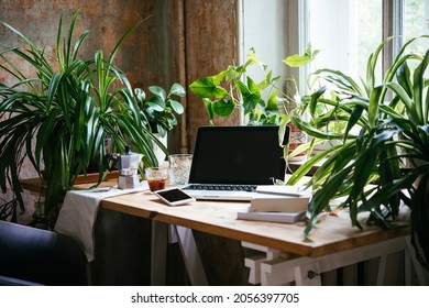 Adoro trabalhar em um escritório em casa com uma atmosfera agradável e cheio de plantas verdes.