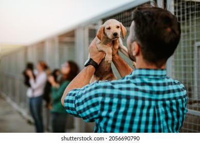 Hombre adulto joven adoptando un perro adorable en un refugio para animales.
