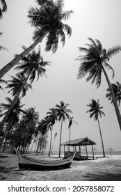 Tranquilo paisaje de cocoteros, palmeras cerca del mar. ubicado en Terengganu, Malasia. foto en blanco y negro.