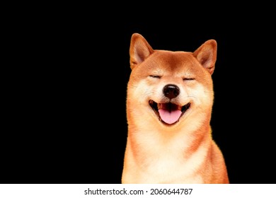黄色の幸せな柴犬犬。赤毛の日本犬、暗号通貨、電子マネー