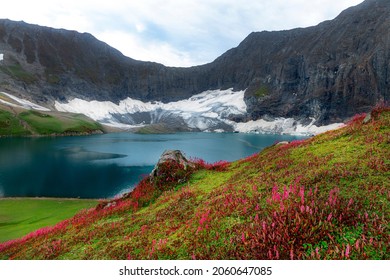 hermoso paisaje de lago de montaña con flores rojas, glaciares y montañas en el fondo