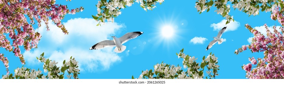 パノラマの空の景色。ピンク、白の春の花と晴れた空を飛んでいる鳥。カモメと空の背景。花の空の下の景色