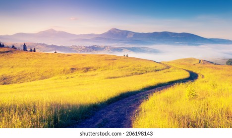 Fantastische zonnige heuvels onder ochtend blauwe hemel. Dramatisch landschap. Karpaten, Oekraïne, Europa. Schoonheid wereld.