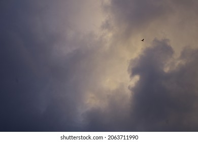 A bird in the clouds as the sun sets.