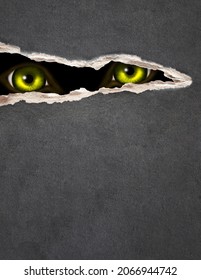 Vertical Halloween background. A look from darkness. Green eye of the monster looks through the hole in paper. Mock up template.  Copy space for text