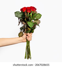 Gyönyörű csokor vörös rózsa egy nő kéz elszigetelt fehér background. Divatos poszter Valentin-napra, Nemzetközi Nőnapra vagy Anyák napjára. Hely másolása