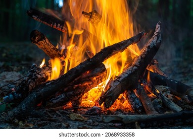 燃える火。森の中でたき火が燃えています。燃える火のテクスチャー。森で調理するたき火。乾いた枝を燃やす。森の中の観光火。燃える枝の質感。