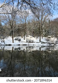 Trees and snow reflecting over the lake
