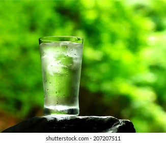 vaso de agua en el bosque
