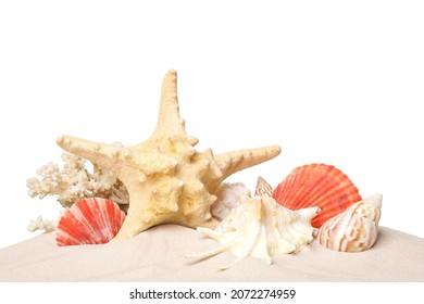 Beautiful starfish, coral and sea shells in sand on white background