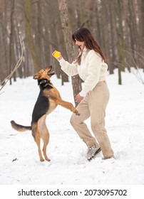 Hermosa mujer europea en el bosque de invierno, mujer jugando con su perro pastor, entrenando animales en invierno, paseando al perro en el bosque.