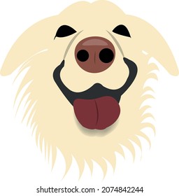 Naughty Dog Logo PNG vector in SVG, PDF, AI, CDR format