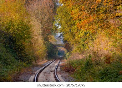 Phong cảnh mùa thu với những chiếc lá cam vàng rực rỡ trên cây, Xe lửa và cây cầu xuyên rừng vào mùa thu, Eys là một ngôi làng ở phía nam tỉnh Limburg, Hà Lan